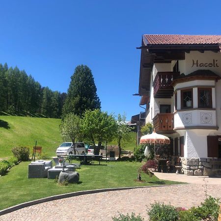 Appartamenti Hacoli Selva di Val Gardena Exterior foto