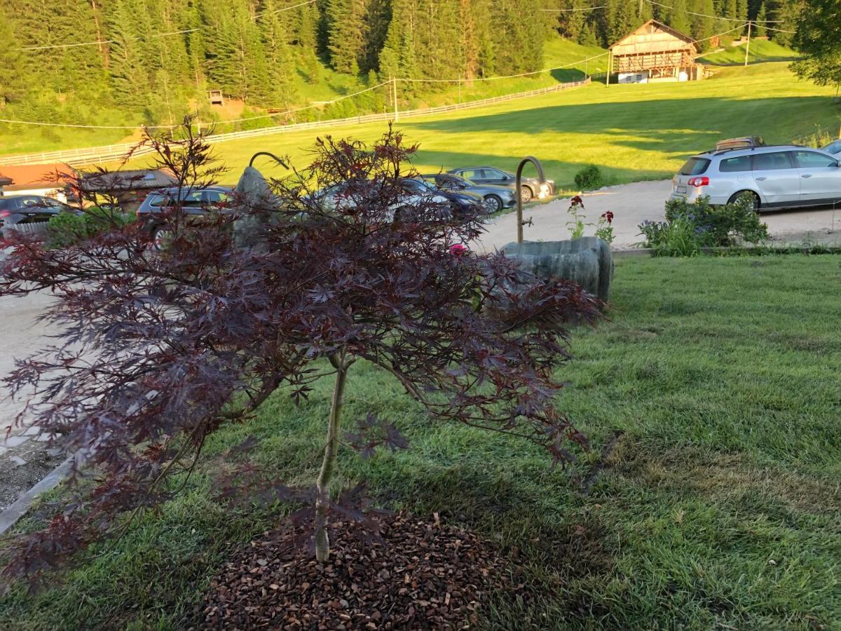 Appartamenti Hacoli Selva di Val Gardena Exterior foto