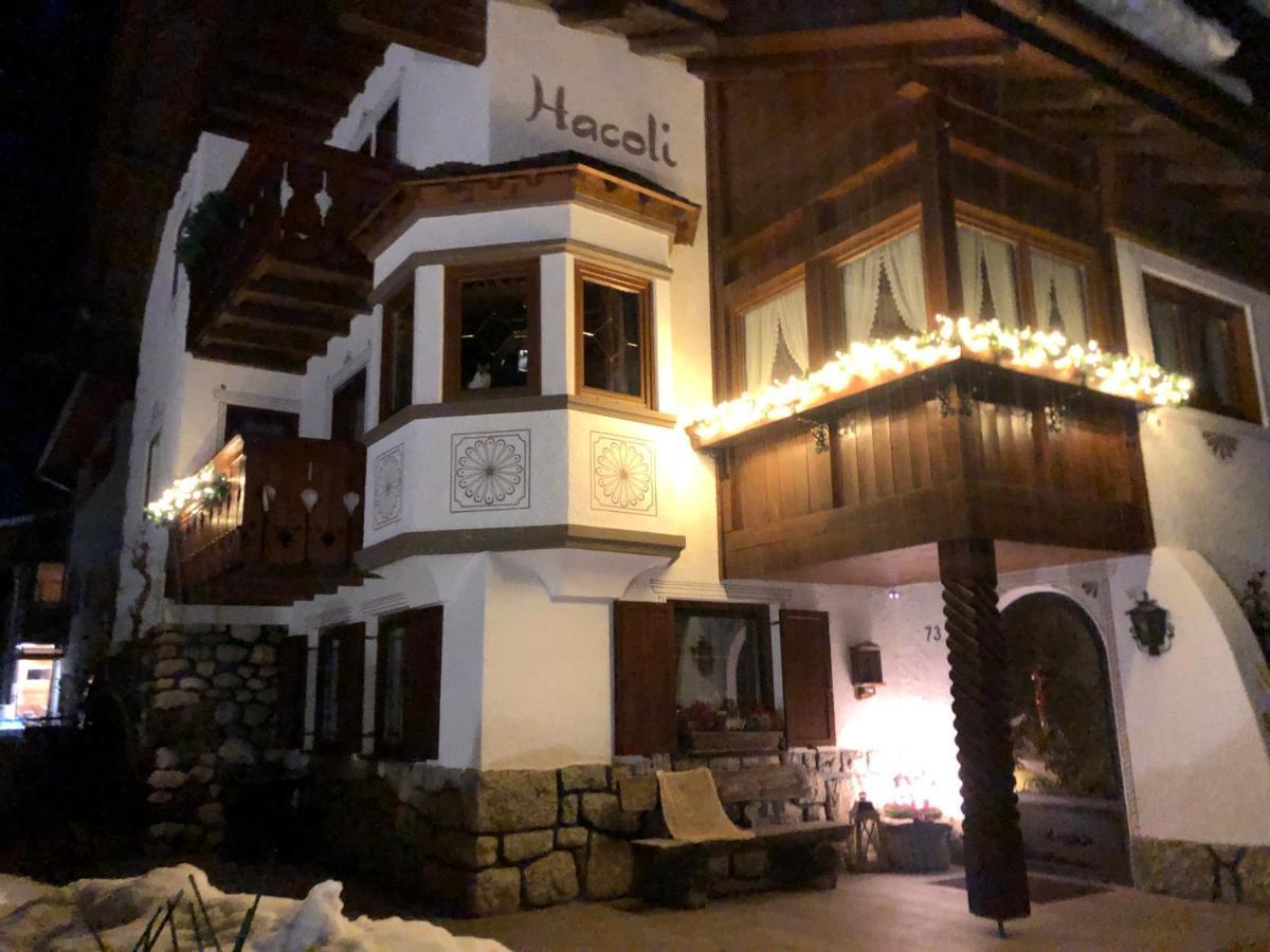 Appartamenti Hacoli Selva di Val Gardena Exterior foto