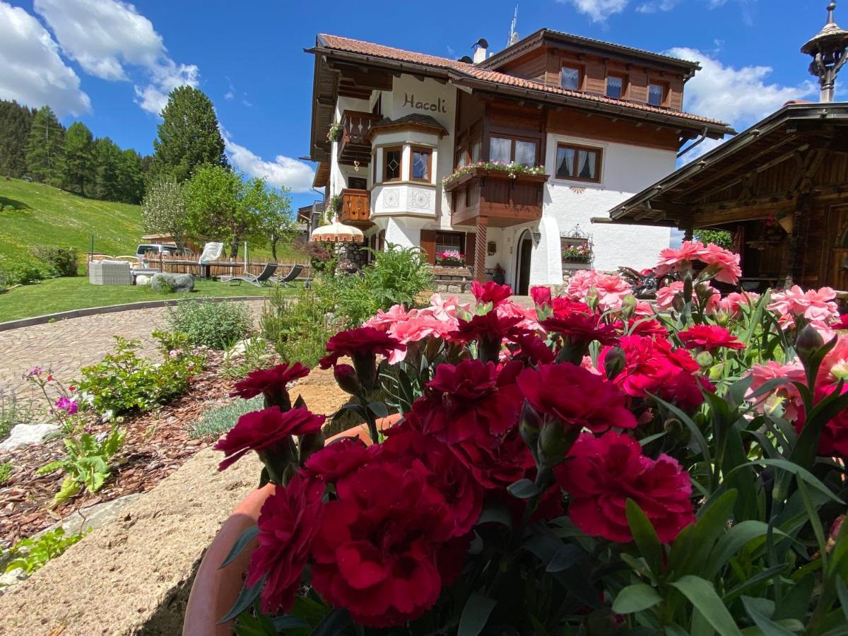 Appartamenti Hacoli Selva di Val Gardena Exterior foto