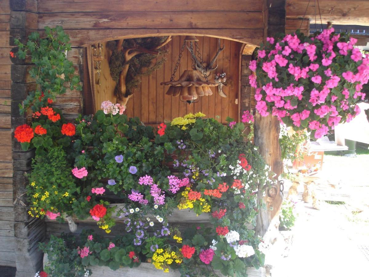 Appartamenti Hacoli Selva di Val Gardena Exterior foto